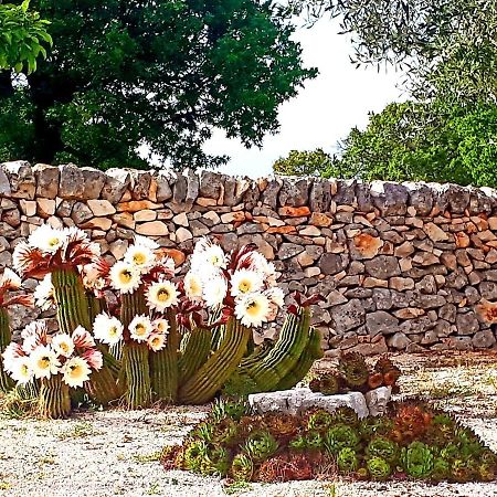 Casa Relax Isabelle Bed & Breakfast Alberobello Dış mekan fotoğraf