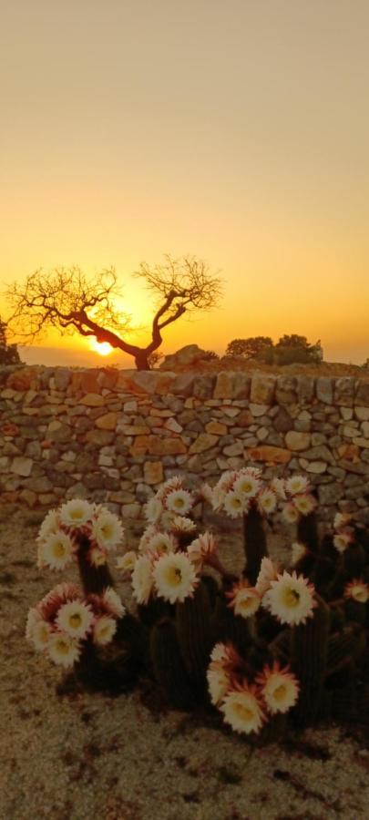 Casa Relax Isabelle Bed & Breakfast Alberobello Dış mekan fotoğraf