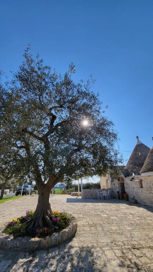 Casa Relax Isabelle Bed & Breakfast Alberobello Dış mekan fotoğraf